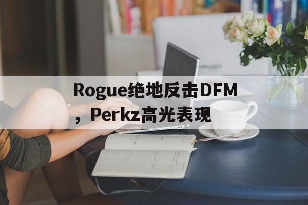 关于Rogue绝地反击DFM，Perkz高光表现的信息