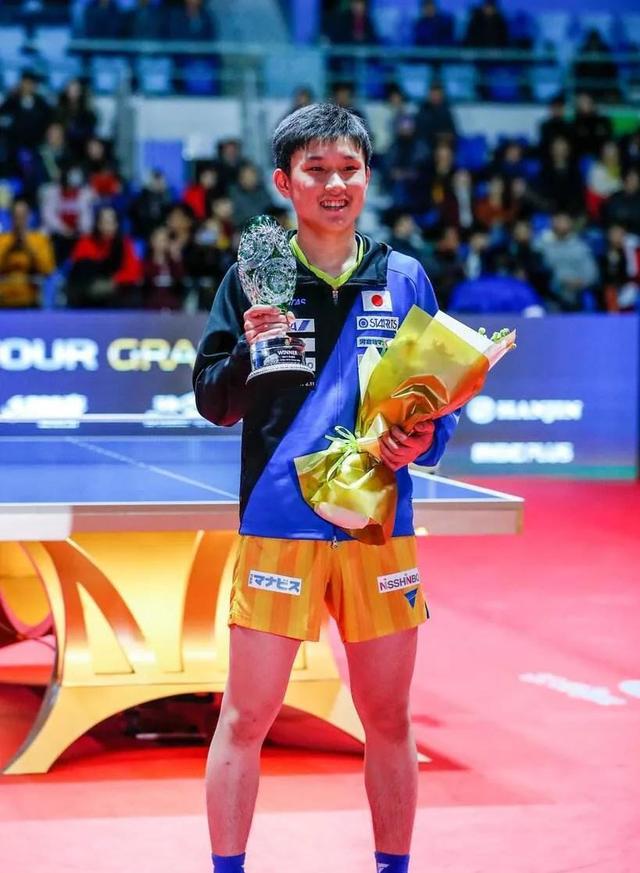 日本乒乓球队横扫波兰乒乓球队,张本智和打破历史纪录的简单介绍 日本乒乓球队横扫波兰乒乓球队,张本智和打破历史纪录的简单介绍