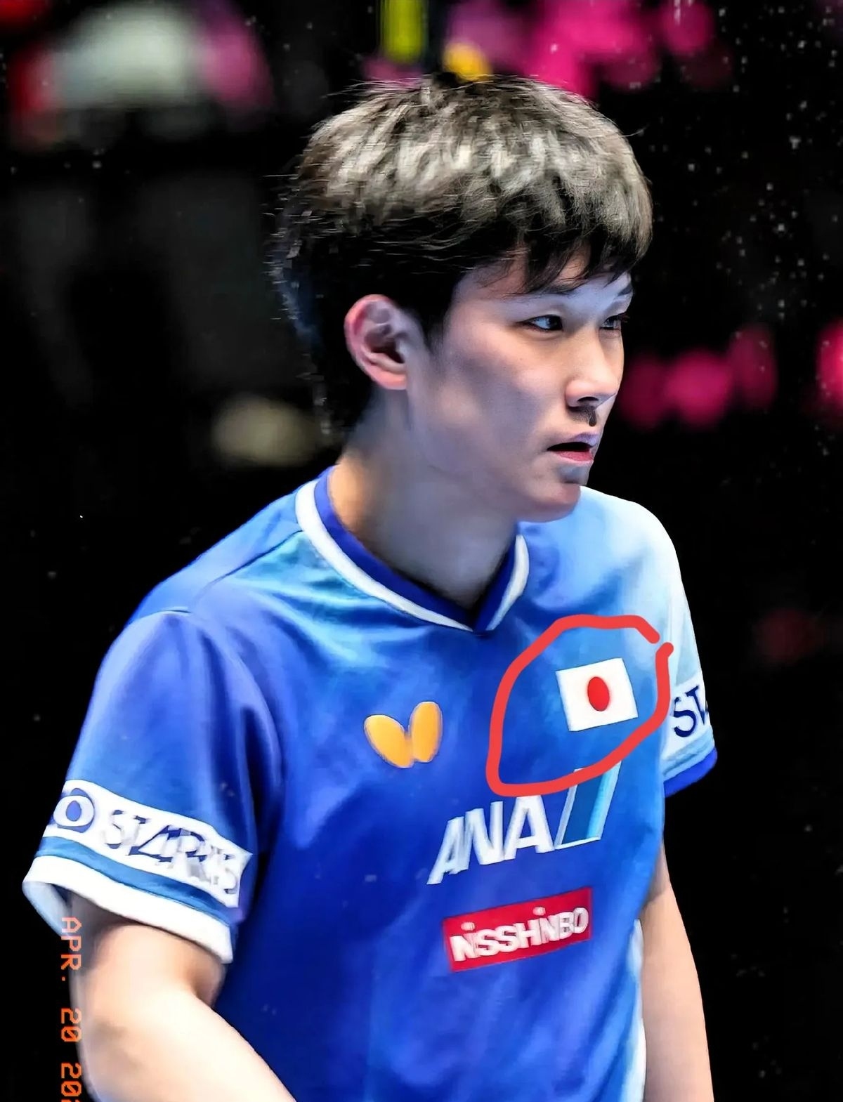 日本乒乓球队横扫波兰乒乓球队,张本智和打破历史纪录的简单介绍 日本乒乓球队横扫波兰乒乓球队,张本智和打破历史纪录的简单介绍