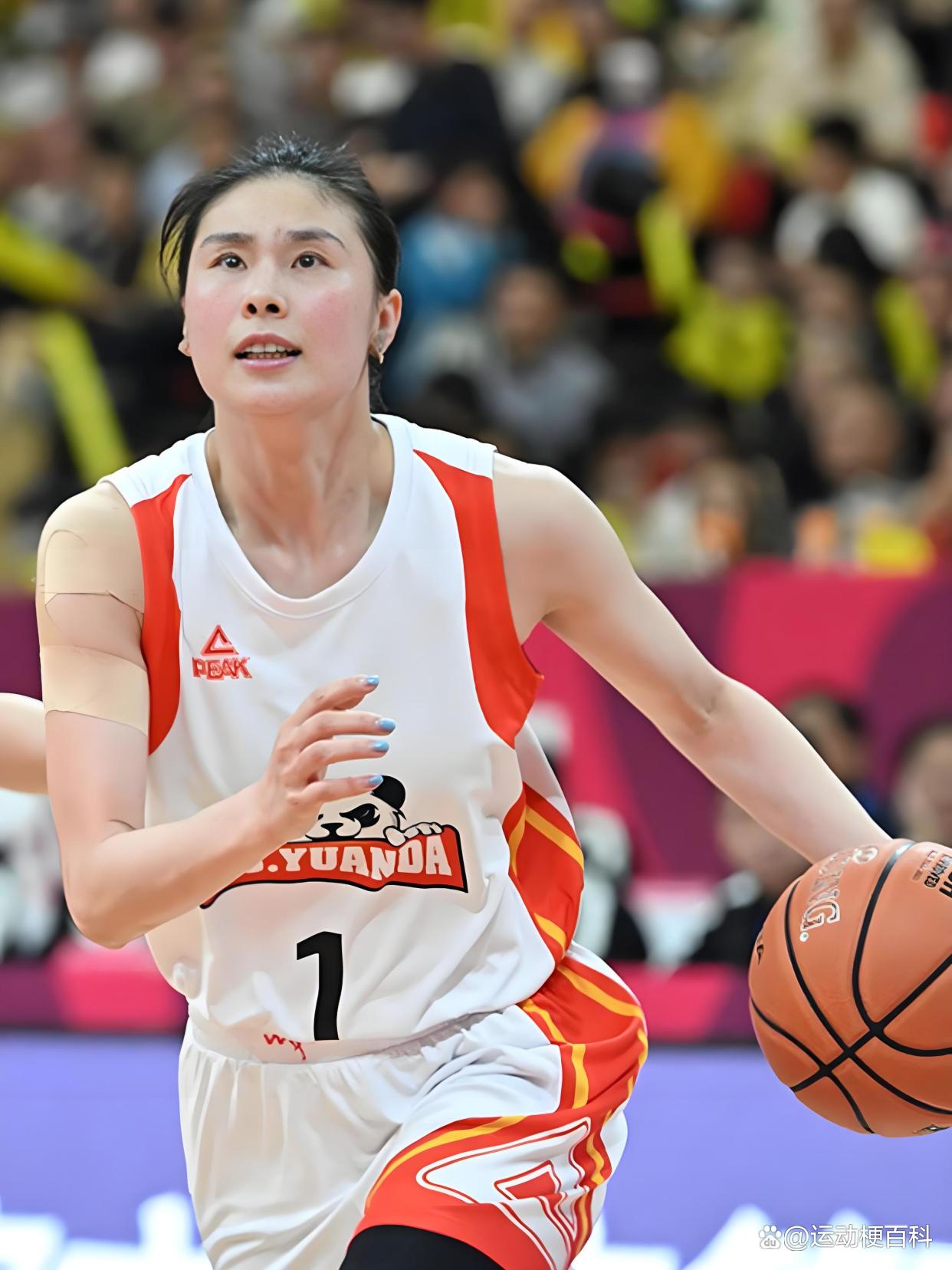 欧洲女篮队全力备战锦标赛，冲击桂冠