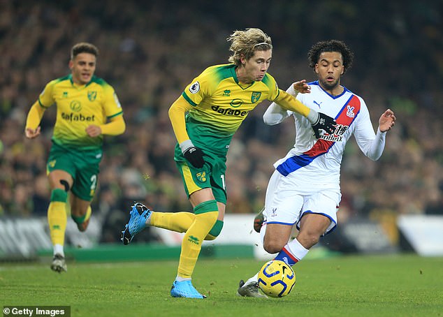 诺维奇主场告捷，全力保级仍需努力的简单介绍