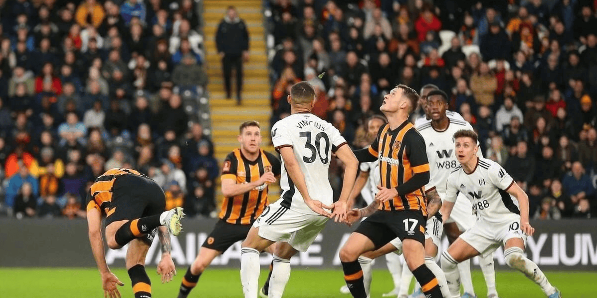 诺维奇主场告捷，全力保级仍需努力的简单介绍