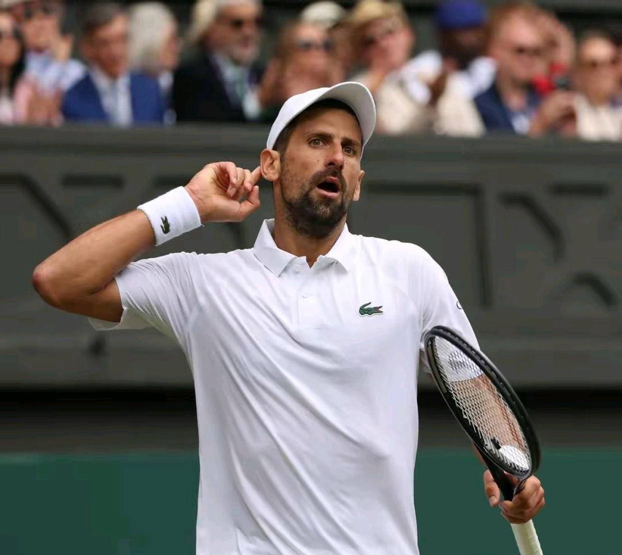 澳网逆转联合杯，德约科维奇扛起全队