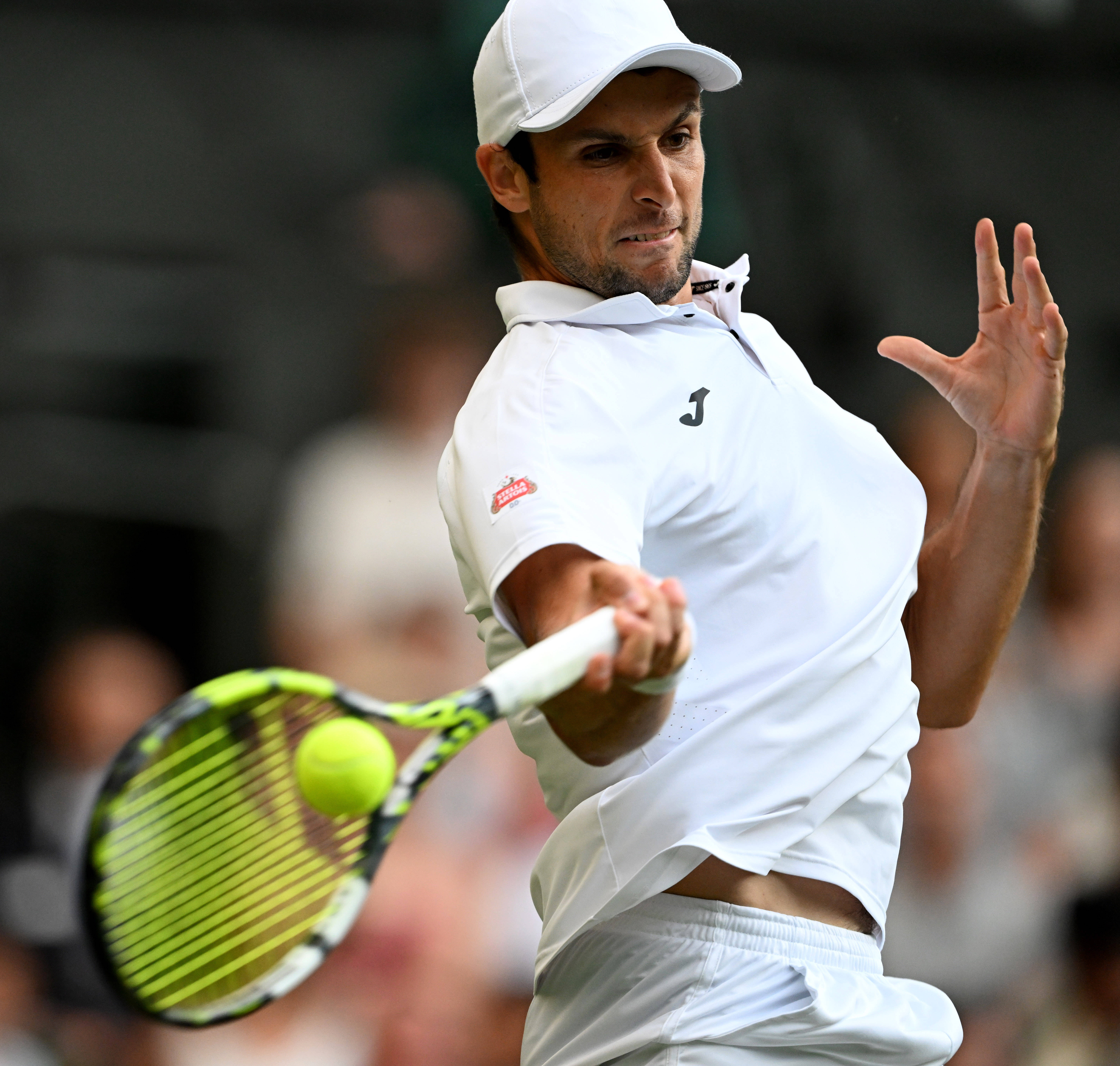 温网轻取澳网，辛纳状态火热的简单介绍