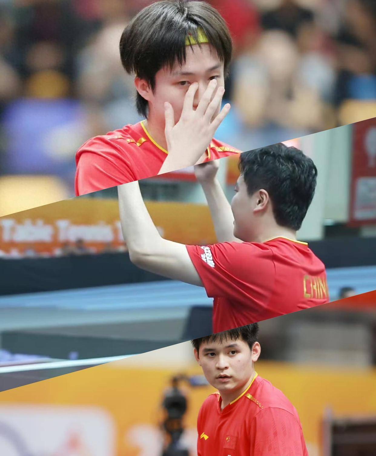 法国乒乓球队险胜奥地利乒乓球队，王皓绝境逆转的简单介绍