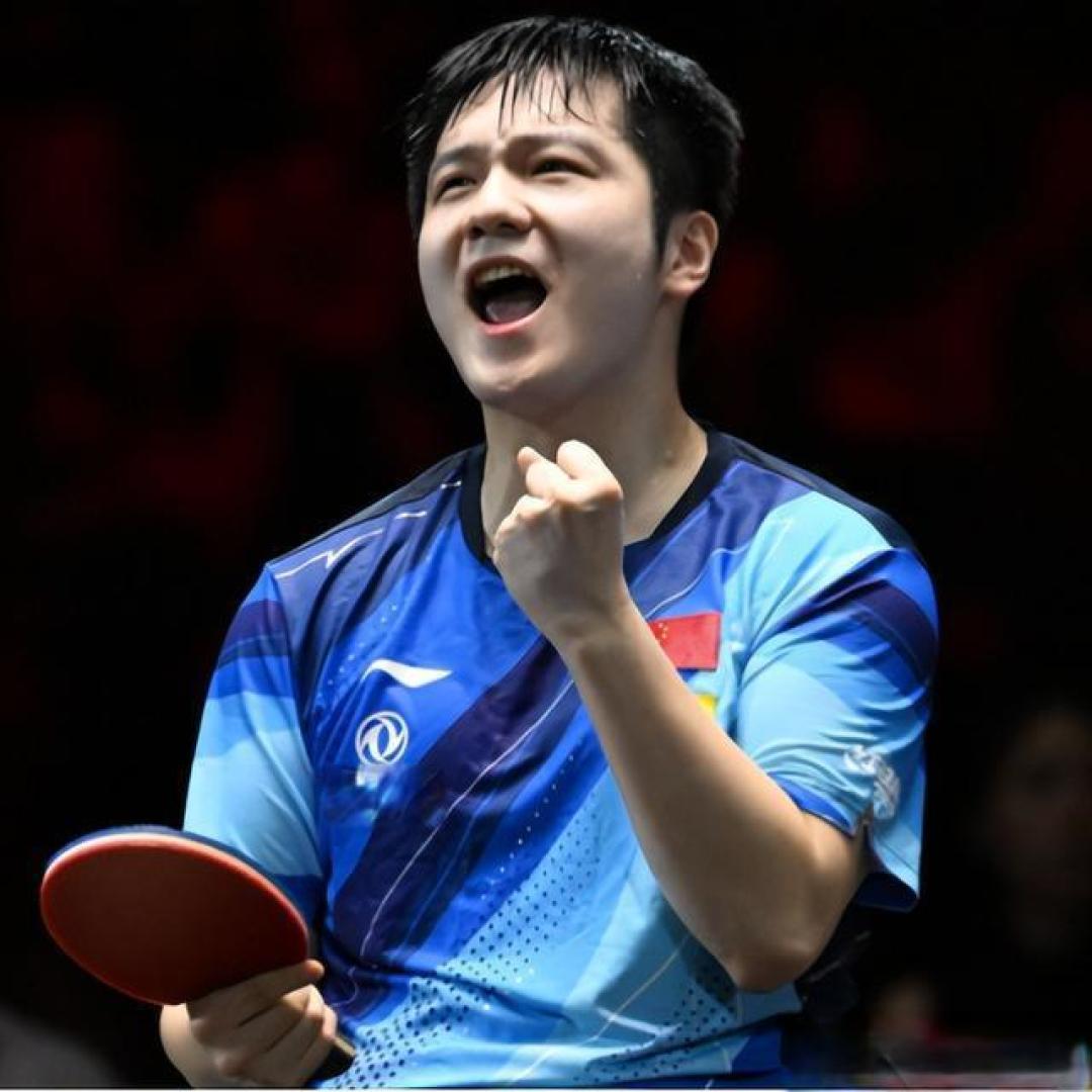 包含波兰乒乓球队翻盘日本乒乓球队，樊振东统治全场的词条