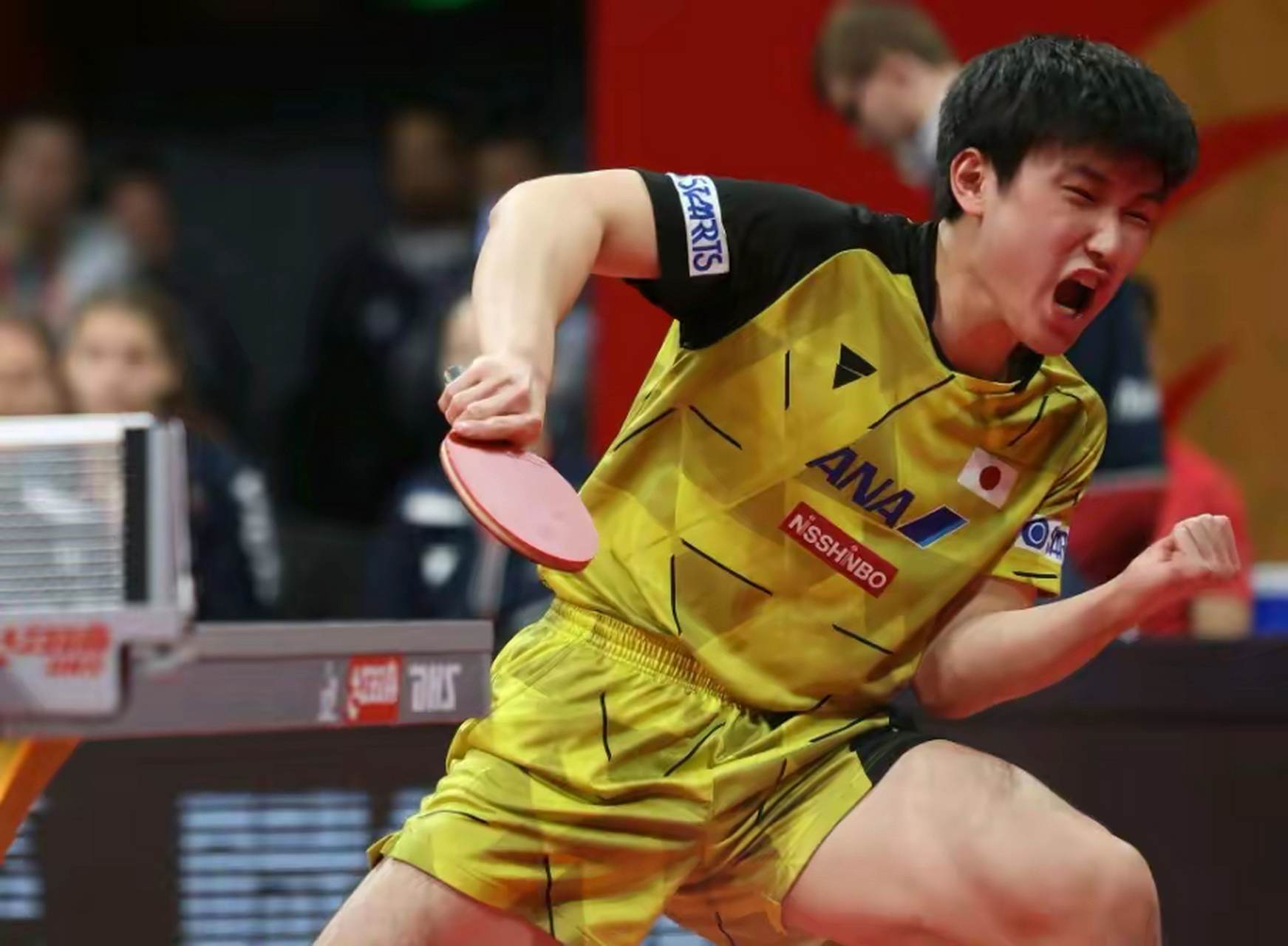 包含英国乒乓球队逆转日本乒乓球队,张本智和高光表现的词条 包含英国乒乓球队逆转日本乒乓球队,张本智和高光表现的词条