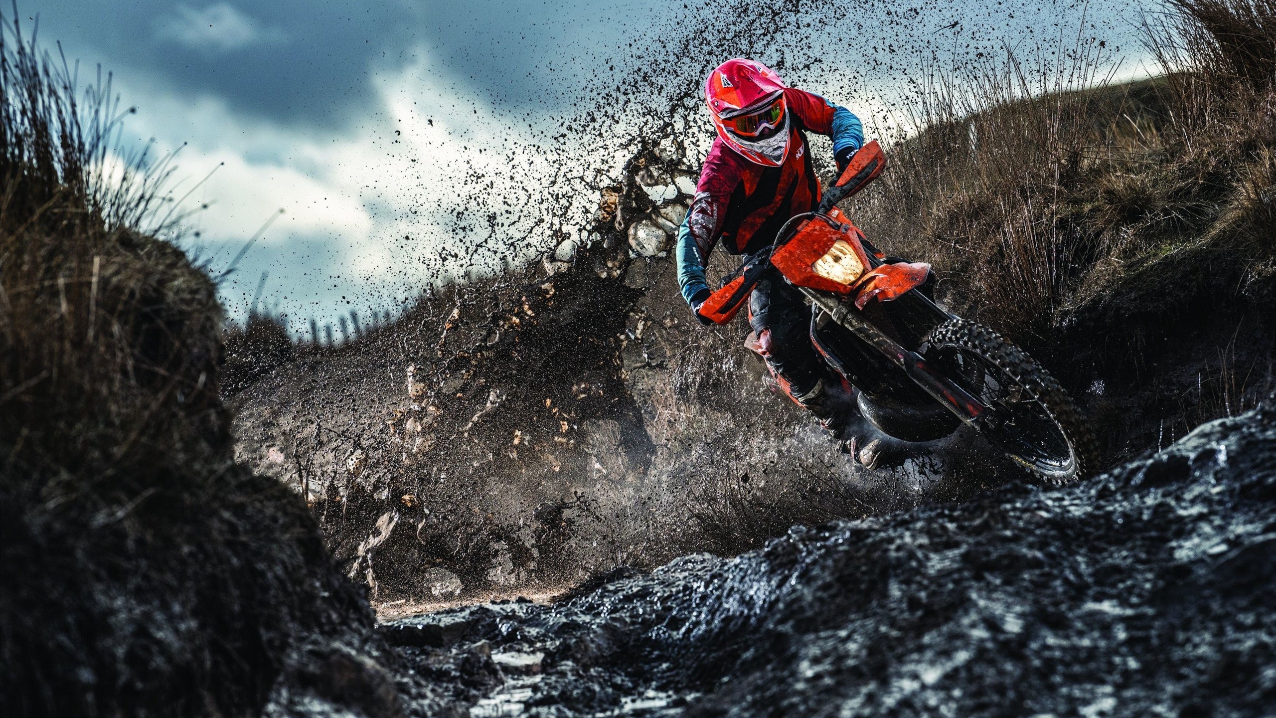 绿茵场上的厄瓜多尔奇迹，当季后赛抢七焦点战遇上切尔西的意外陨落