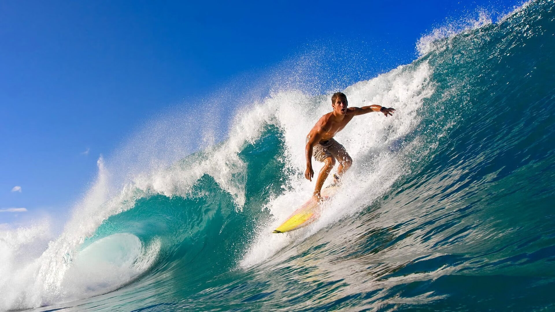 雄鹿防守锁死黄蜂，切特成为关键先生